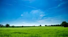 Get Cash For Your Property!